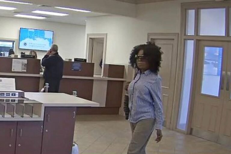 Iconic Facce gets 15 years for robbing bank to finance plastic surgery