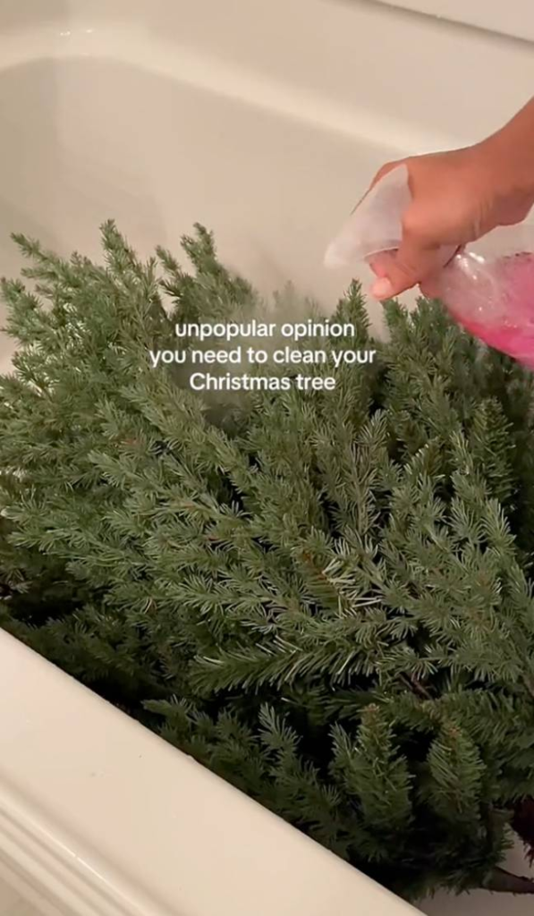 People baffled after woman puts Christmas tree in the bath before putting it up