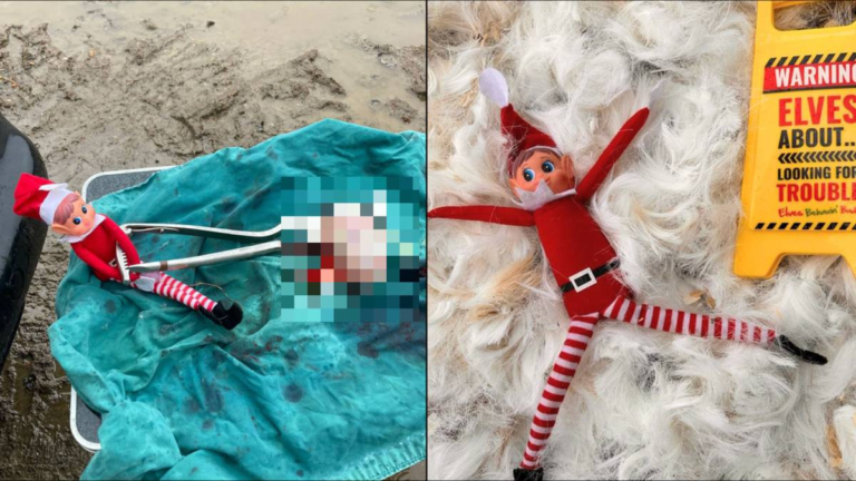 Vet goes ‘too far’ with freshly castrated testicle Elf on the Shelf prank