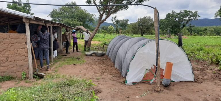 East Africa: Smallholder farmers adopt bio-digesters to build climate resilience and get clean energy for cooking