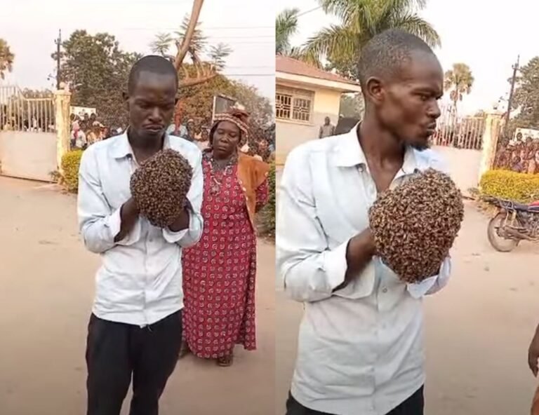 African magician handcuffs thief with bees in Uganda
