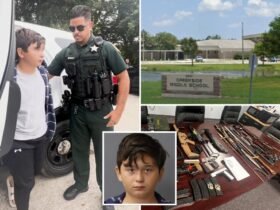 A Florida boy, 11, had a 'kill list' and arsenal at school, the sheriff says