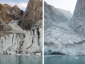 A Huge Tsunami Caused by a Thinning Glacier Created a Seismic Event for Nine Days