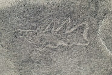 AI discovers hundreds of ancient Nazca drawings in Peruvian desert