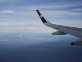 Air NZ flight to Christchurch cancelled due to bird strike