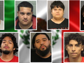 At least seven gun possession suspects during Mexican Independence Day weekend in Chicago; 5 are from the suburbs