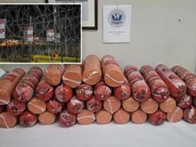 Border Patrol seizes more than 700 pounds of illegal bologna at the Texas border