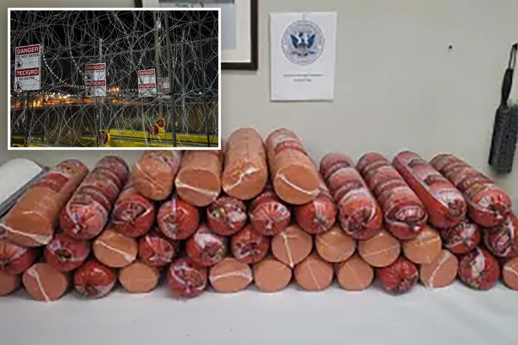 Border Patrol seizes more than 700 pounds of illegal bologna at the Texas border