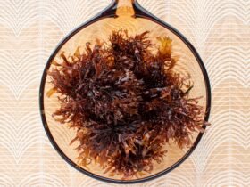 glass bowl filled with brown seaweed