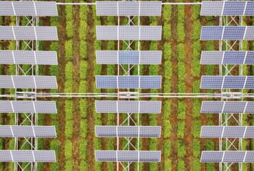 Can solar farms and crop farms coexist?