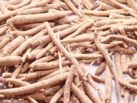 A pile of light brown roots of the ashwagandha plant on a white background