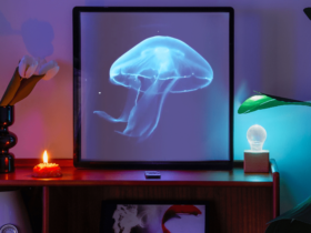 Can you now have a hologram in your living room?