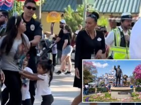 Disneyland Mom Jessenia Diaz, Seen in Viral TikTok, Gets Arrested Next to Sobbing Children, Breaks Silence