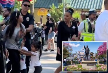 Disneyland Mom Jessenia Diaz, Seen in Viral TikTok, Gets Arrested Next to Sobbing Children, Breaks Silence