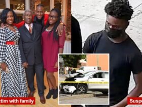 Family of New York grandfather killed by stray bullet lashes out at gun violence that 'destroys families'