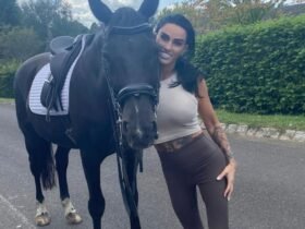 Katie Price fans discover disturbing 'missing' details in a new photo-they accuse her of a photoshop error