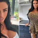 Katie Price quietly drops boob surgery fundraiser after begging fans to pay for surgery, which only raised 10% of money