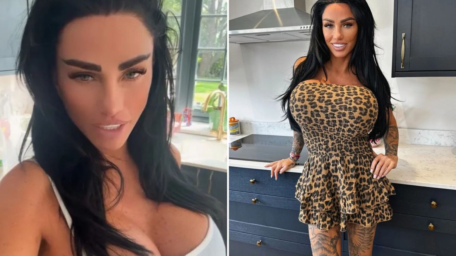 Katie Price quietly drops boob surgery fundraiser after begging fans to pay for surgery, which only raised 10% of money