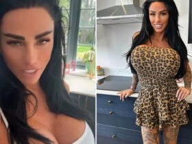 Katie Price quietly drops boob surgery fundraiser after begging fans to pay for surgery, which only raised 10% of money