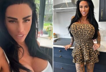 Katie Price quietly drops boob surgery fundraiser after begging fans to pay for surgery, which only raised 10% of money