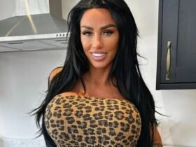 Katie Price shows off the results of her 17th boob job as she goes braless in a leopard print top