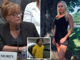 Mothers of Migrant Murder Victims Criticize 'Avoidable' Crimes During 'Biden-Harris Border Crisis' Hearing