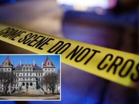 NY GOP House bill would bypass states with liberal policies to give money directly to police and local governments