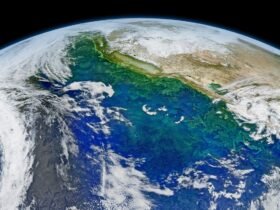 Satellite composite image of the California coast and Pacific Ocean with varying colors of blues and greens where there are phytoplankton blooms. The curve of the Earth can be seen at the top of the image