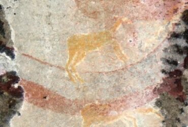 South African Rock Art Depicts 260-Million-Year-Old Extinct Animal, Study Suggests : ScienceAlert