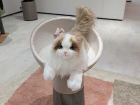 LG air purifier cat bed