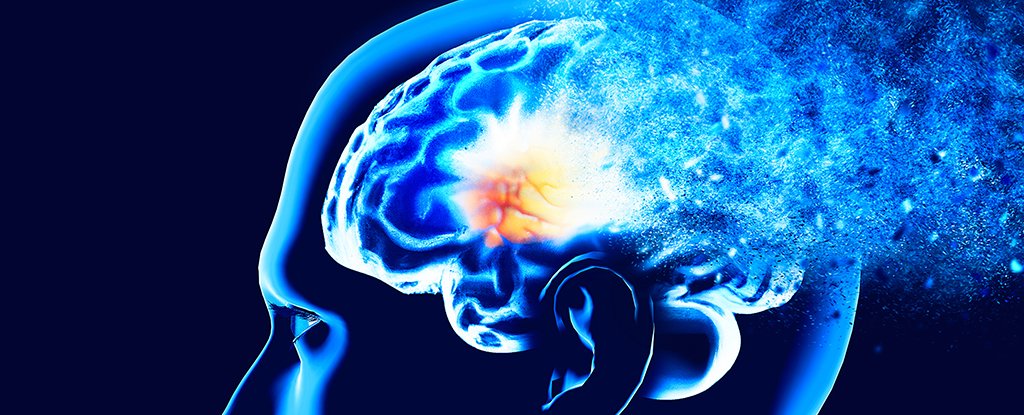 These 15 Factors Are Linked to Early Dementia Risk, a Major Study Found : ScienceAlert