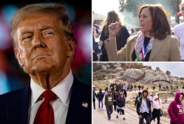 Trump slams Harris over data showing nearly 15,000 illegal immigrants in the US have been charged or convicted of murder