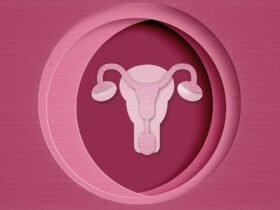 Paper rendering of human uterus