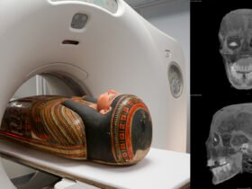 3D scans reveal secrets of the coffin of a 3,000-year-old Egyptian mummy