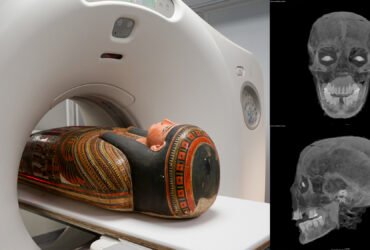 3D scans reveal secrets of the coffin of a 3,000-year-old Egyptian mummy