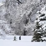 Another 10 inches of snow possible for Colorado mountains Sunday