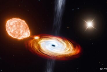 Astronomers Observe Black Hole That May Have Formed Gently