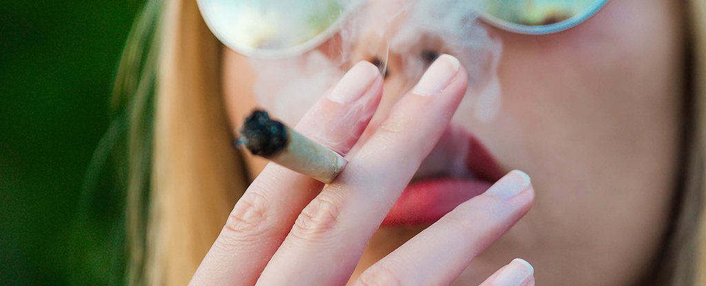 Cannabis Use During Pregnancy Associated With Genetic Changes in Baby Brains : ScienceAlert