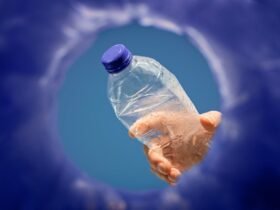 Photograph shot looking up from inside a recycling bin as a person's hand is about to drop a plastic bottle into the opening