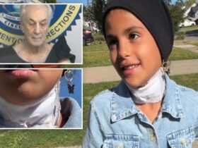 Crazy old man slits the throat of a seven-year-old girl playing in the park