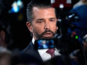 Donald Trump Jr. Gives Sad Excuse For Why His Dad Won't Debate Kamala Harris Again