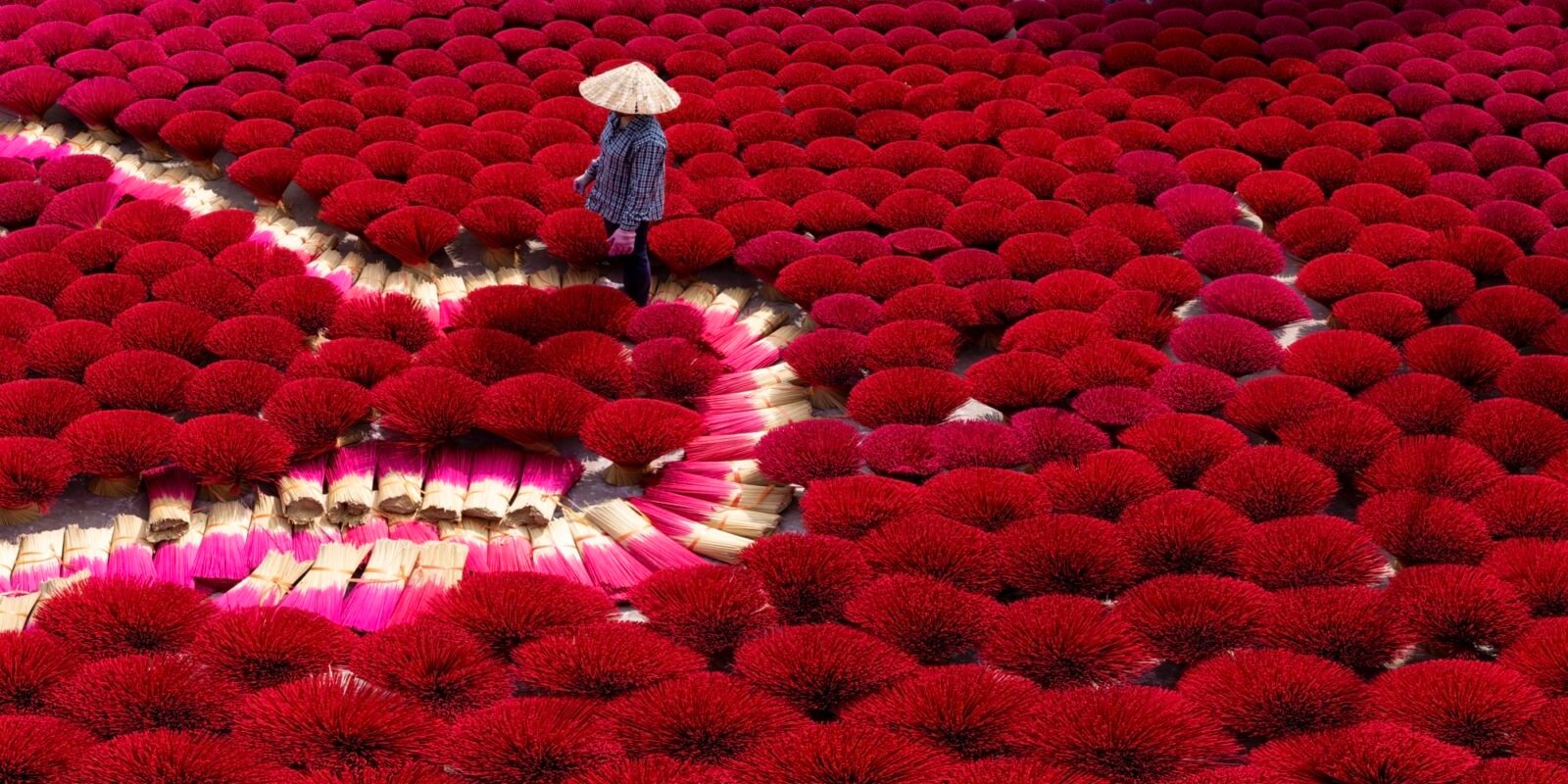 a panoramic photo of a figure wearing a wide-brimmed hat and walking among bouquets of red incense covering the ground