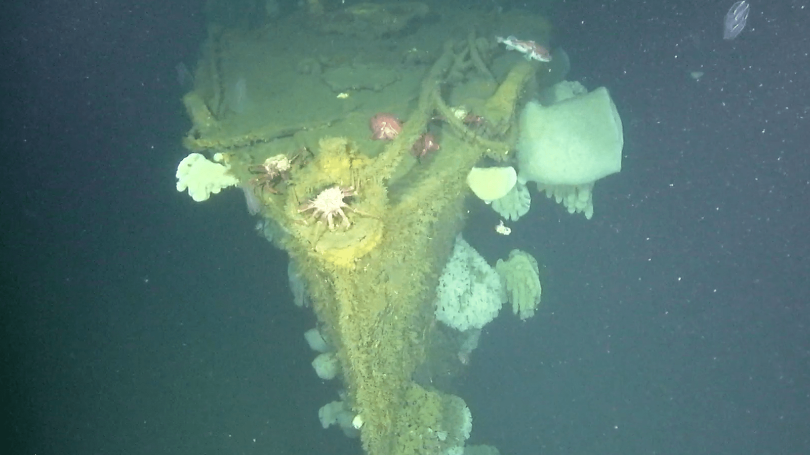 'Ghost Ship of the Pacific' rediscovered with underwater drones