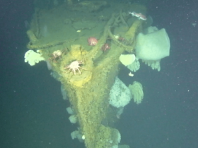 'Ghost Ship of the Pacific' rediscovered with underwater drones