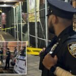 Girl, 15, shot and injured after gunfire in Bronx: police