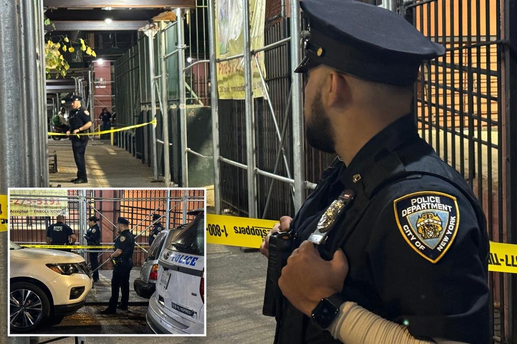 Girl, 15, shot and injured after gunfire in Bronx: police