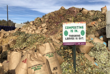 How to recycle dead leaves and rotting pumpkins in Denver