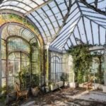 an abandoned conservatory in France with greenery growing inside and up the walls