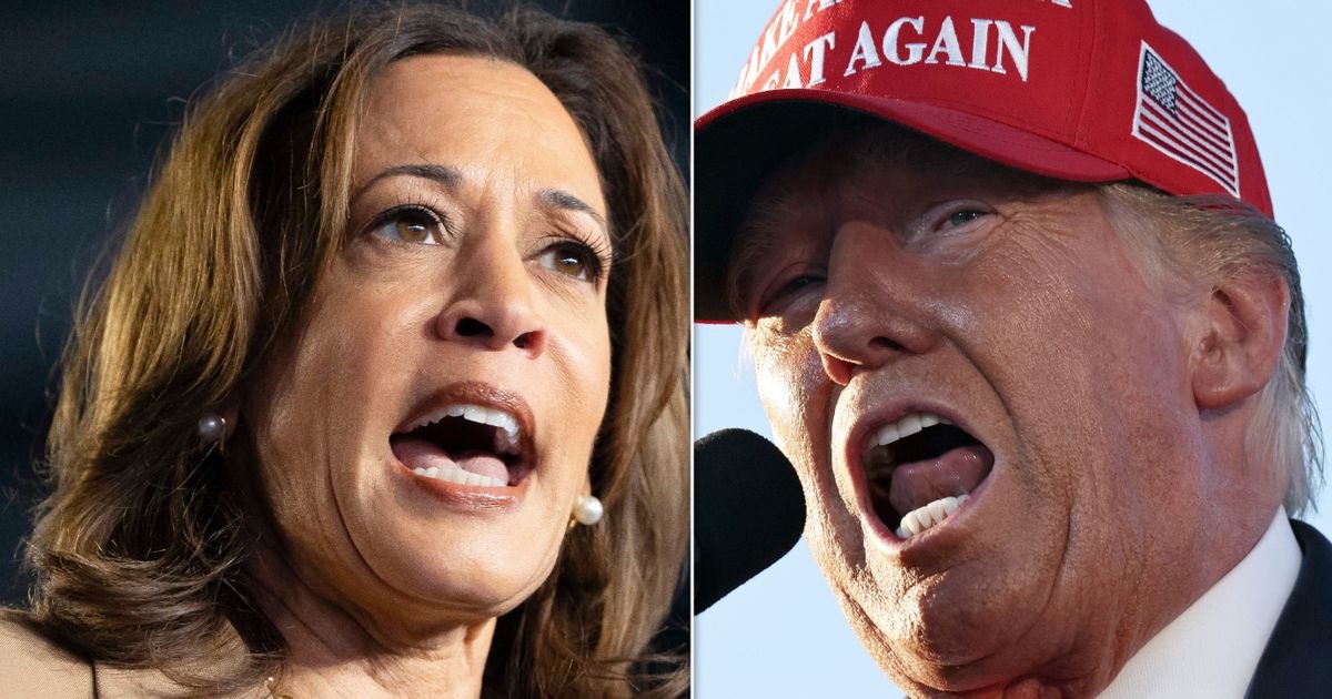 Kamala Harris Hits Trump With 1 Key Question About His Health