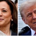 Kamala Harris Overtakes Donald Trump Among Suburban Voters, Poll Reveals